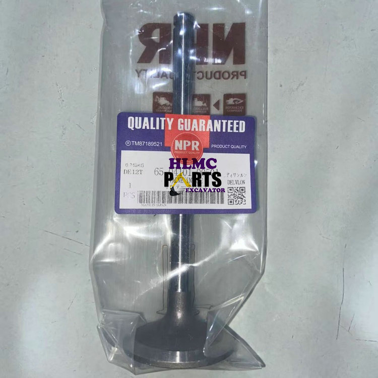 Intake Valve 65.04101-0050A for Doosan DEVELON DE12TIS